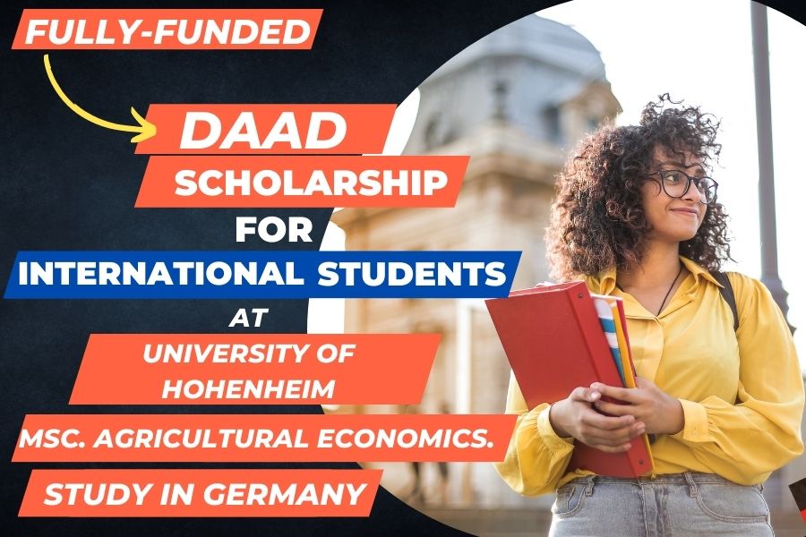 DAAD scholarships for international students