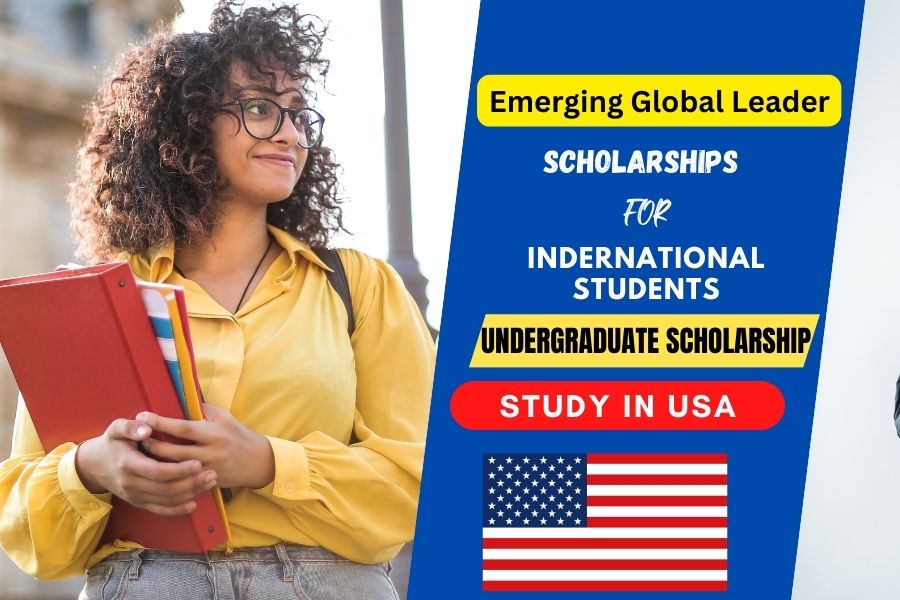 Emerging Global Leader Scholarship